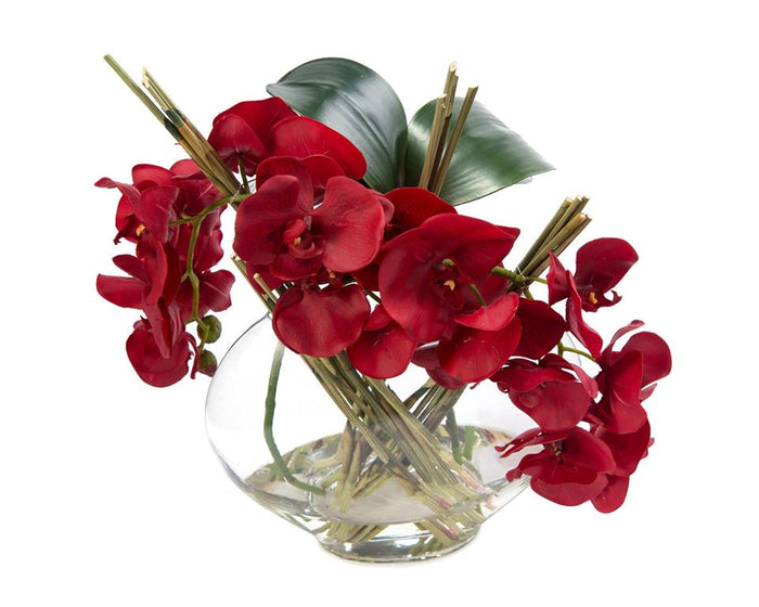 Isaura Asian Red in Vase - Luxury Living Collection