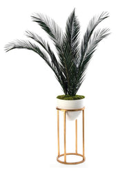 Kelilah Palms in Vase and Stand - Luxury Living Collection