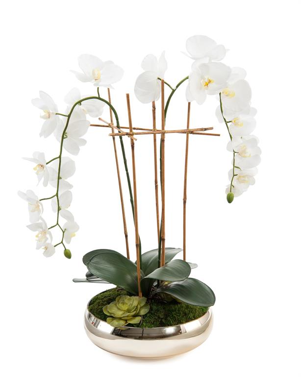 Krizia Structured Phalaenopsis in Bowl - Luxury Living Collection