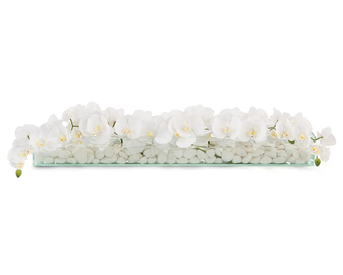 Liliette Floating Orchids in Container - Luxury Living Collection