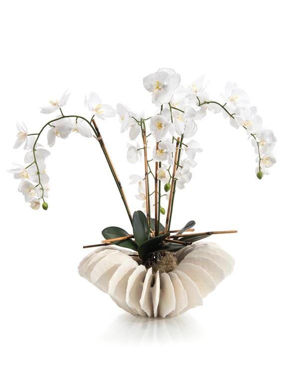 Novalie Sea Coral Orchids in Bowl - Luxury Living Collection