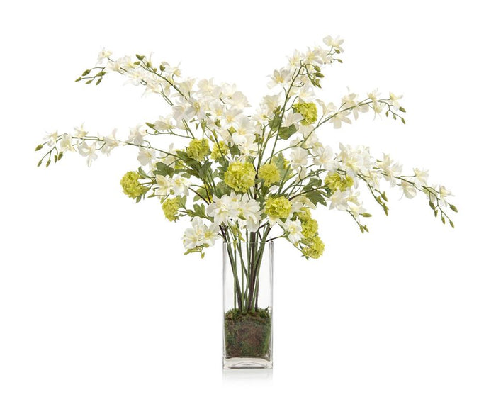 Nolita Organic Dendrobiums in Vase - Luxury Living Collection