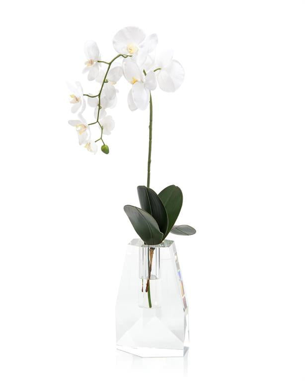 Naenia Crystal Orchid in Vase - Luxury Living Collection