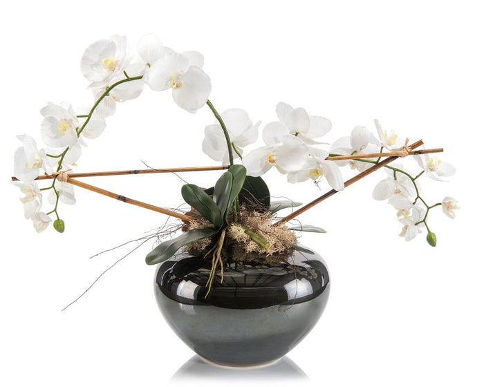 Ondelyn Phalaenopsis Trellis in Vase - Luxury Living Collection