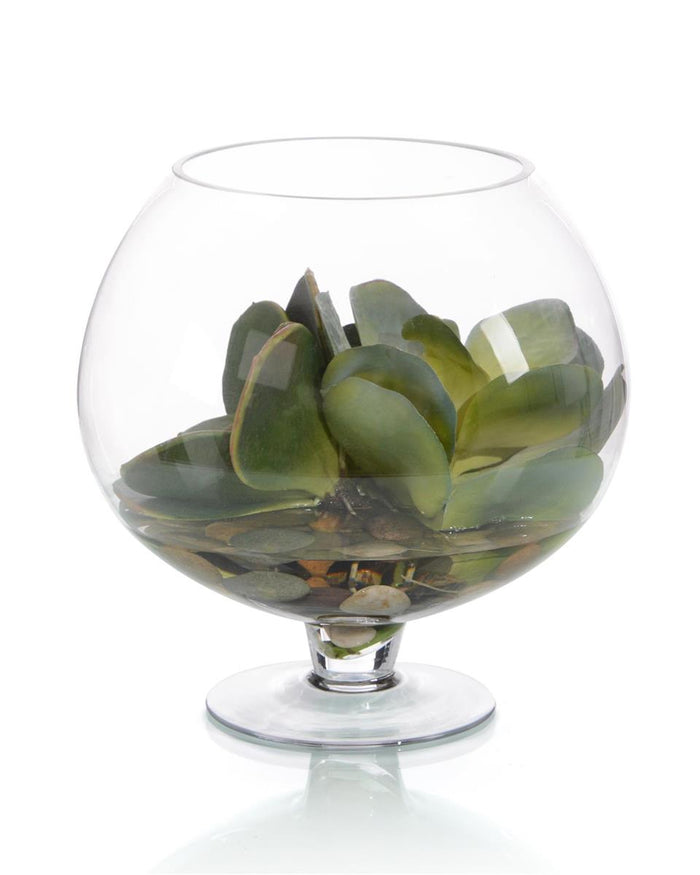 Sania Succulent in Bowl - Luxury Living Collection