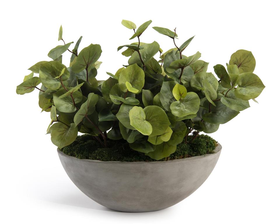 Sanora Greenery in Bowl - Luxury Living Collection