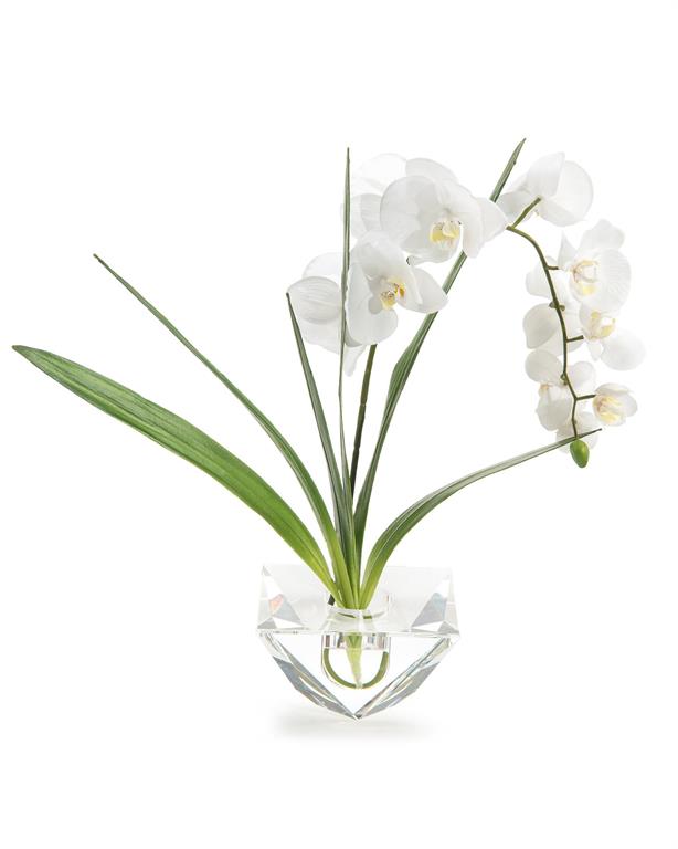 Tresa Cut Crystal in Vase - Luxury Living Collection