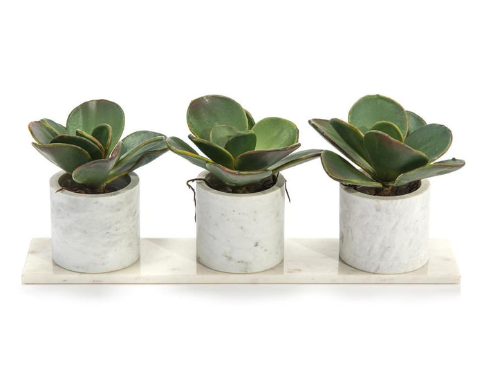 Teresia Marble Succulents in Vases - Luxury Living Collection