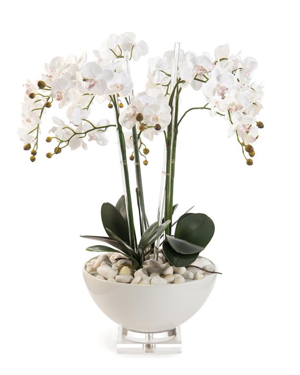 Viveka White Orchids in Bowl - Luxury Living Collection