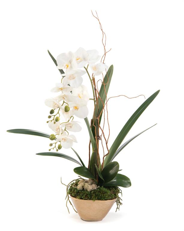 Vietta Willow Orchid in Vase - Luxury Living Collection
