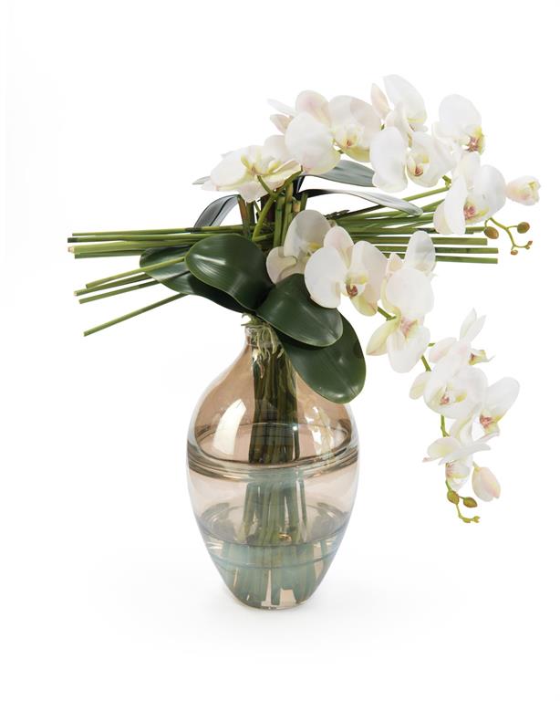 Tierra Pale Pink Orchids in Vases - Luxury Living Collection