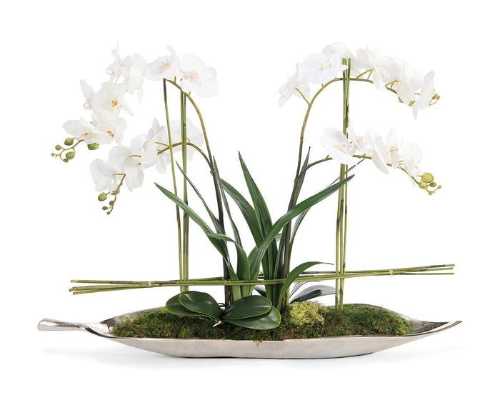 Rozianna Silver Leaf Orchids in Leaf Tray - Luxury Living Collection