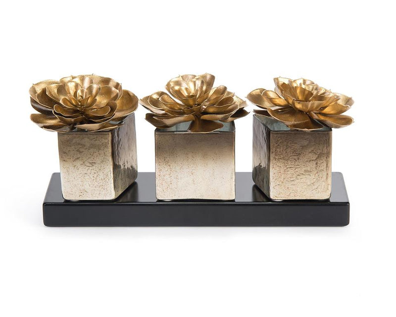 Raziya Platinum Succulents in Vases - Luxury Living Collection