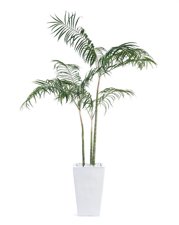 Qiana White Palms in Pot - Luxury Living Collection