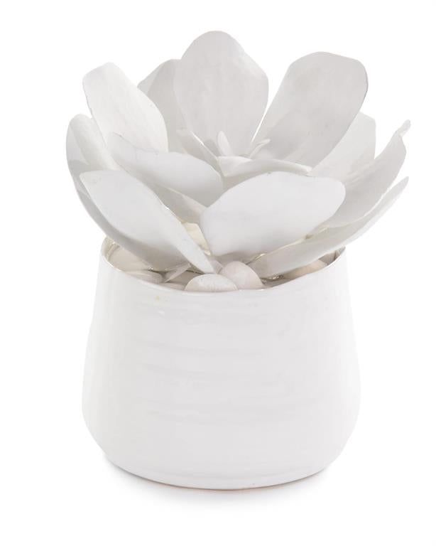 Lumina White Succulents in Pot - Luxury Living Collection