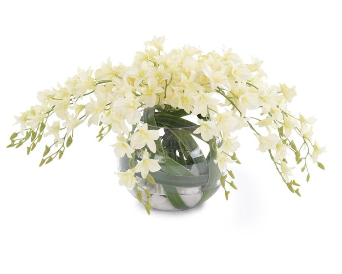 Kenaya Fresh Dendrobium in Bowl - Luxury Living Collection