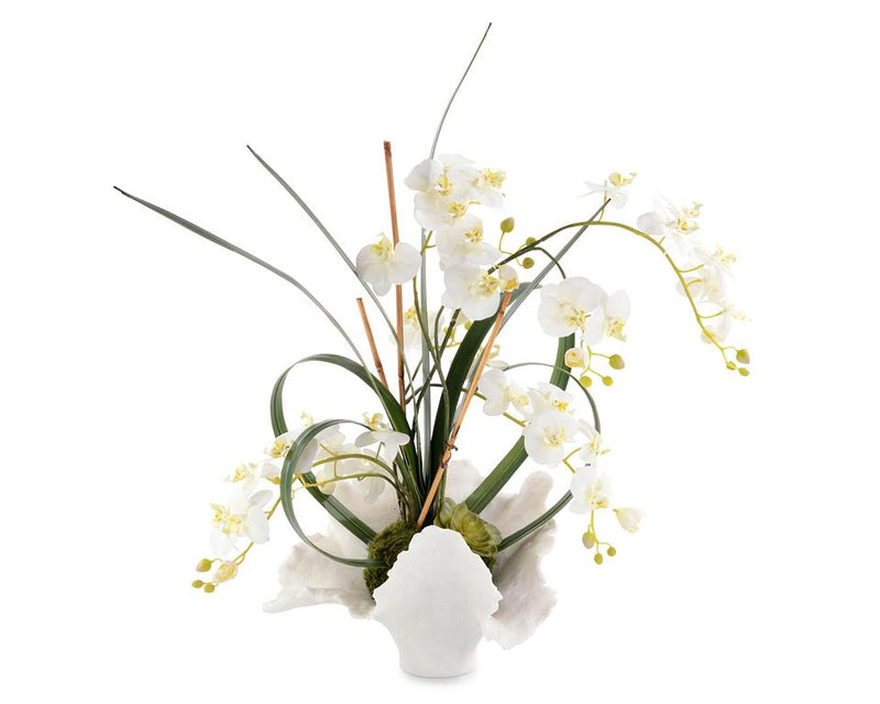 Cece White Orchids in Vase - Luxury Living Collection