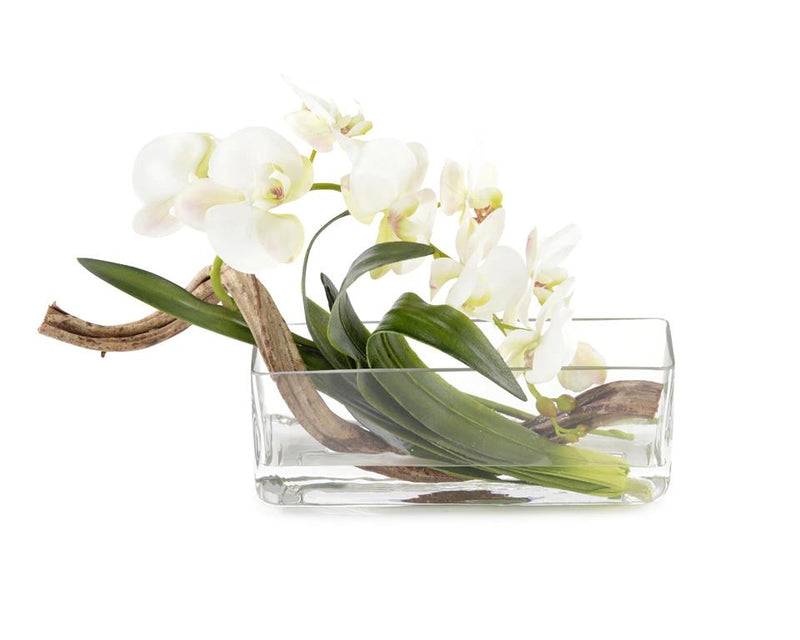 Cece Curly Orchid in Vase - Luxury Living Collection