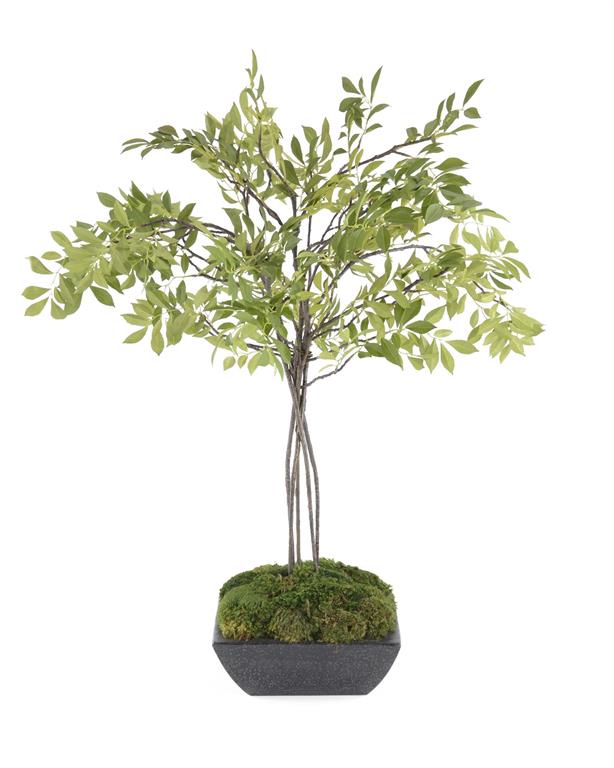 Aneira Tabletop Tree in Vase - Luxury Living Collection