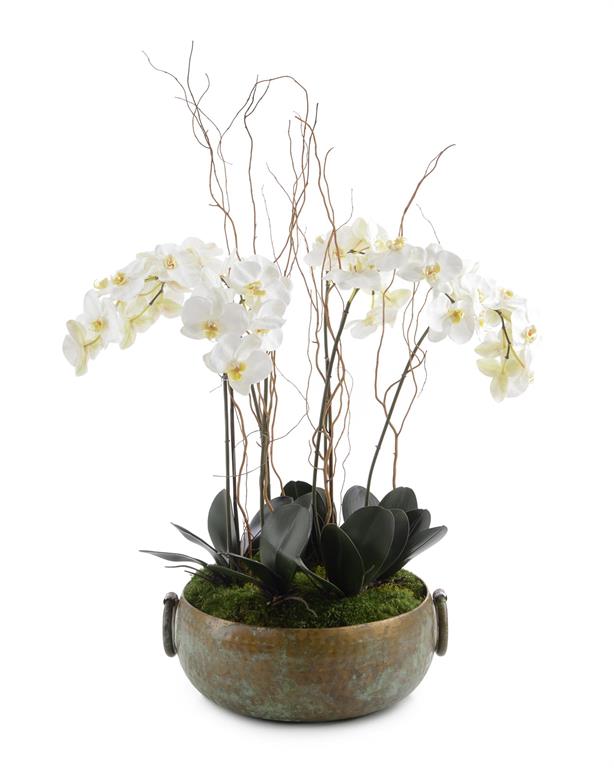 Cece Tuscan Phalaenopsis in Bowl - Luxury Living Collection