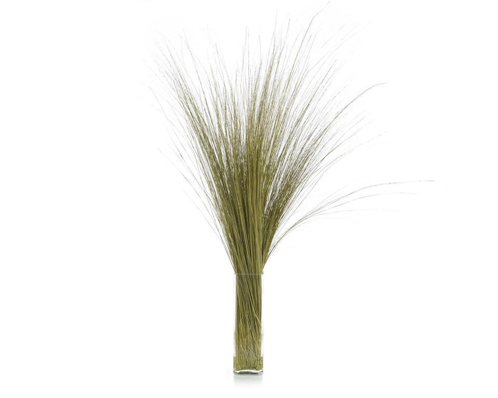 Imara Fountain Grass in Vase - Luxury Living Collection