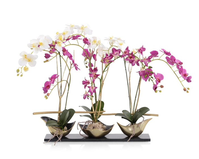 Alanie Silhouette Orchids in Bowls - Luxury Living Collection