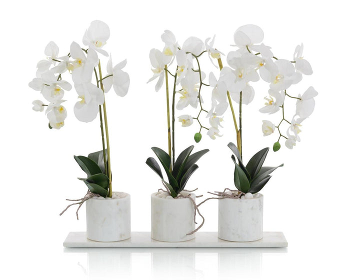 Cossette Marble Orchids in Vases - Luxury Living Collection