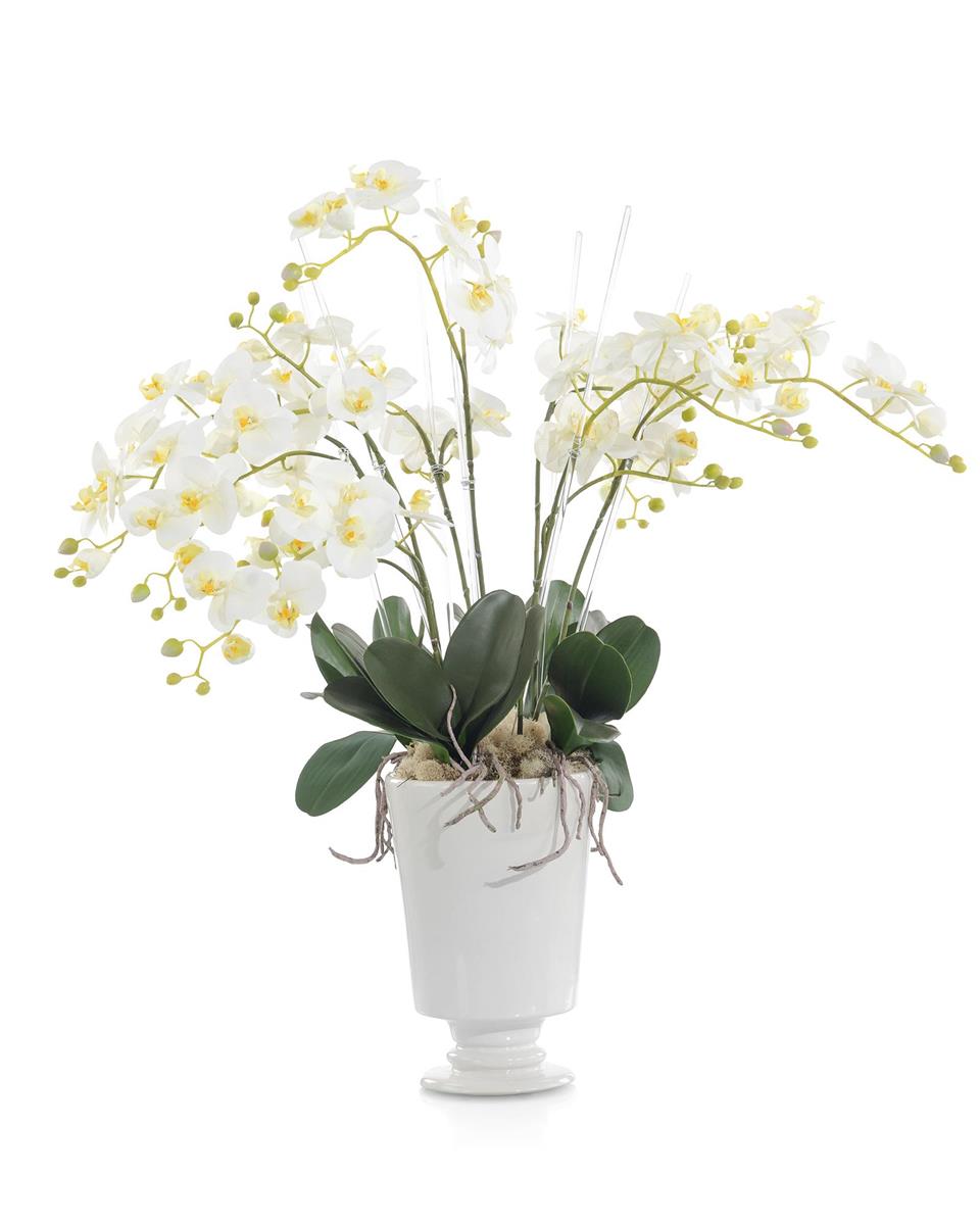 Nimerah Orchid Romance in Vase - Luxury Living Collection