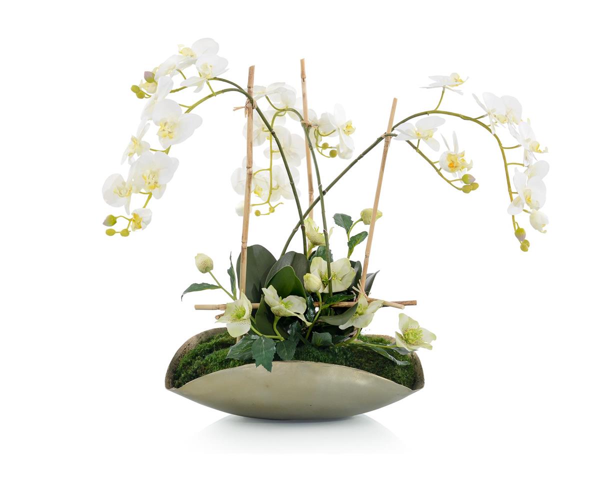 Fianna Bamboo Orchid Garden in Vase - Luxury Living Collection