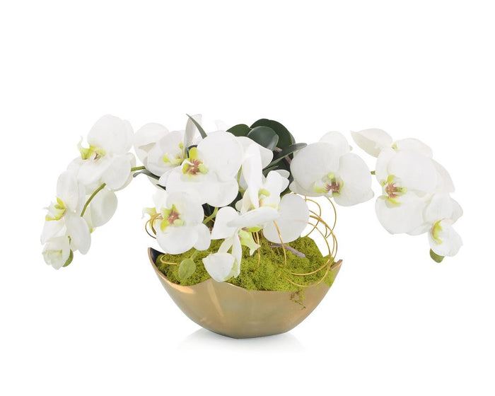 Constantia Fallen Orchids in Vase - Luxury Living Collection