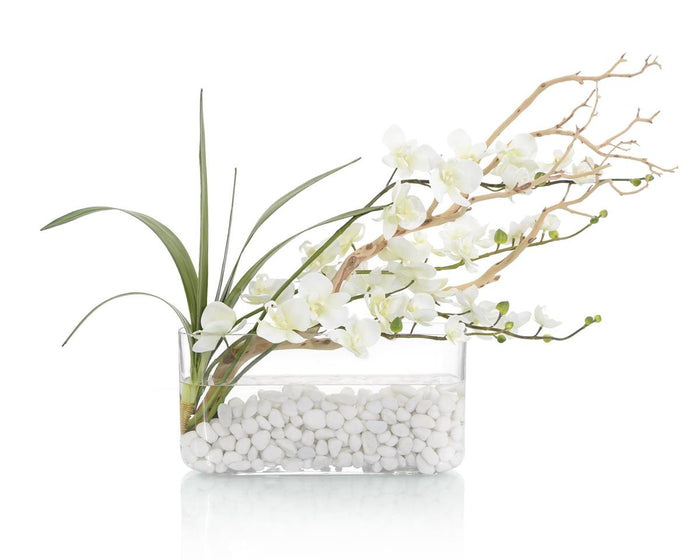 Aluma Exotic Orchids in Container - Luxury Living Collection