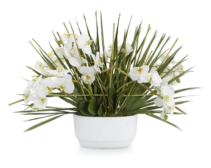 Heath Trellis Phalaenopsis in Bowl - Luxury Living Collection