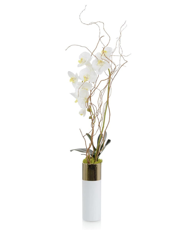 Niko Woodland Phal in Vase - Luxury Living Collection