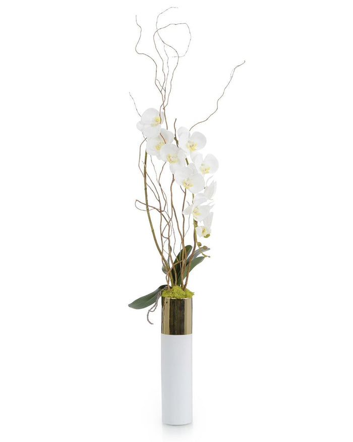 Niko Willow and Phals in Vase - Luxury Living Collection