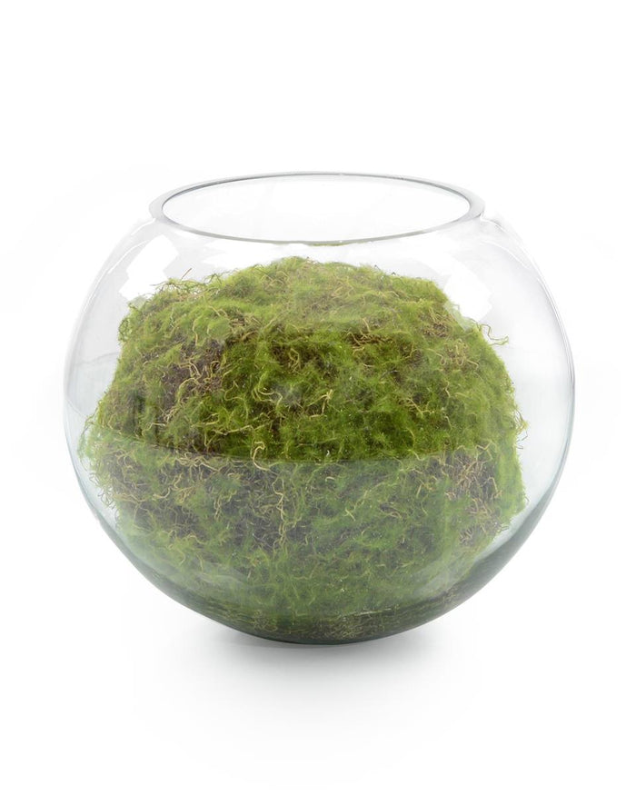 Polly Aquatic Moss Ball in Bowl - Luxury Living Collection