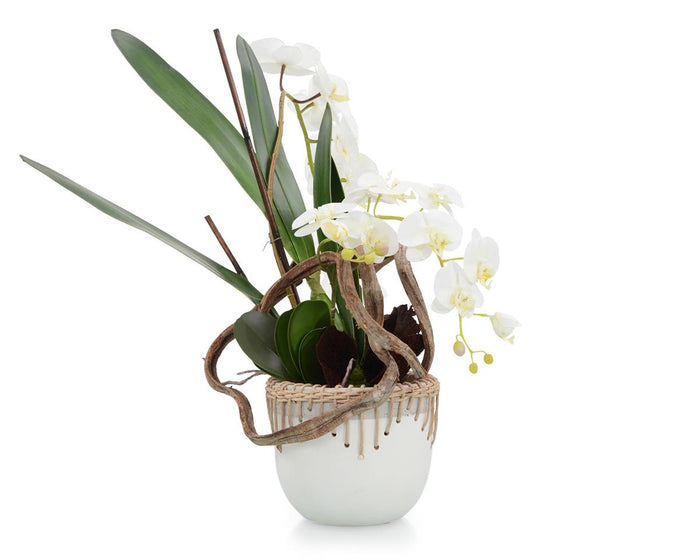 Perla Mocha Orchid in Vase - Luxury Living Collection