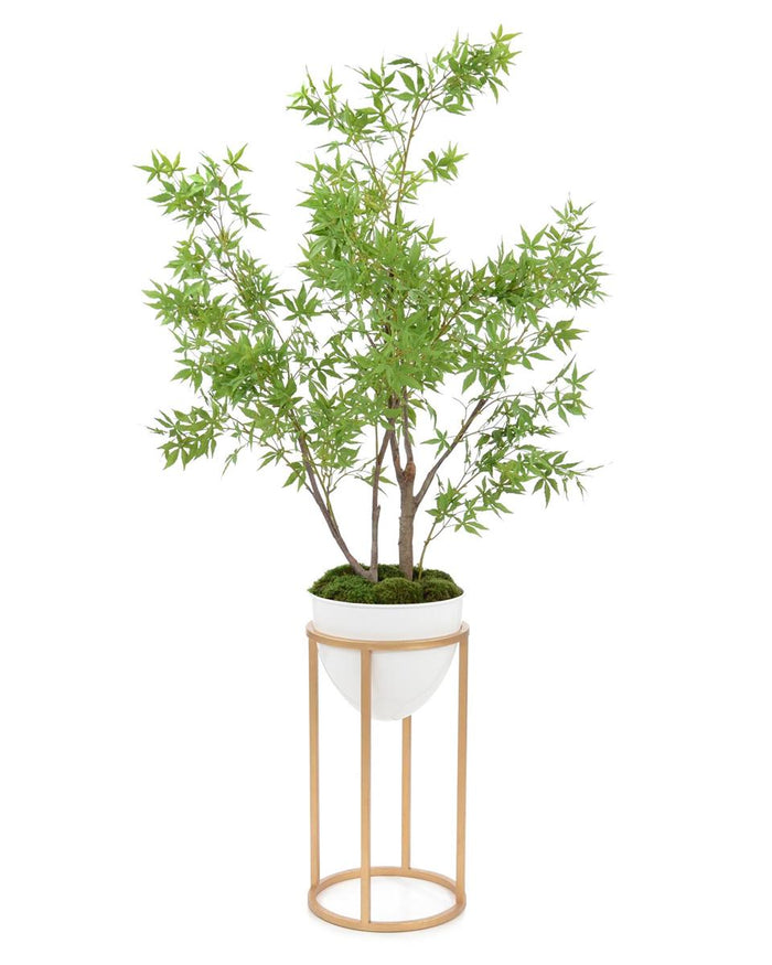 Raya Gold Sycamore Maple in Vase - Luxury Living Collection
