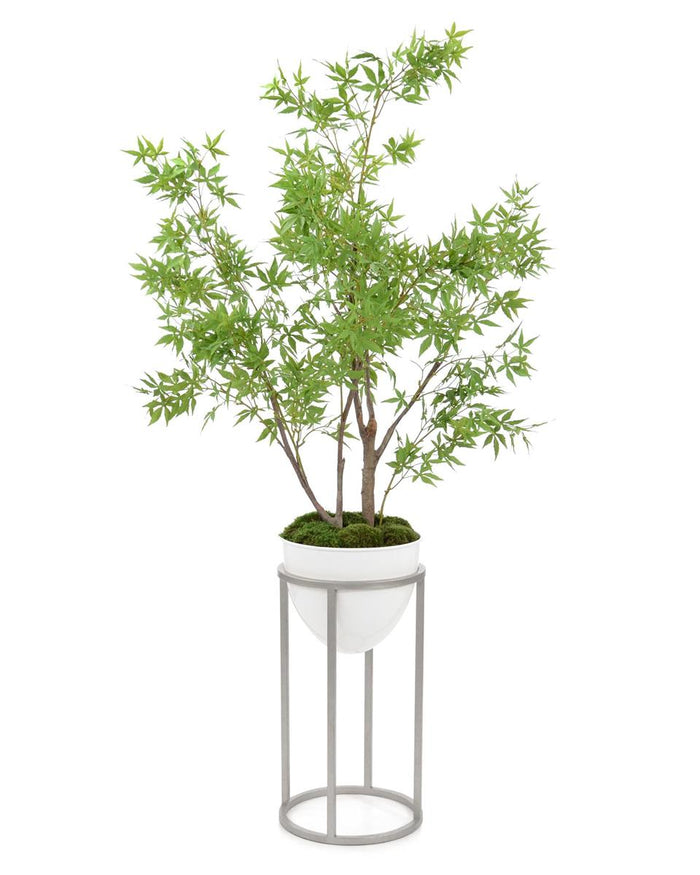 Raya Silver Sycamore Maple in Vase - Luxury Living Collection