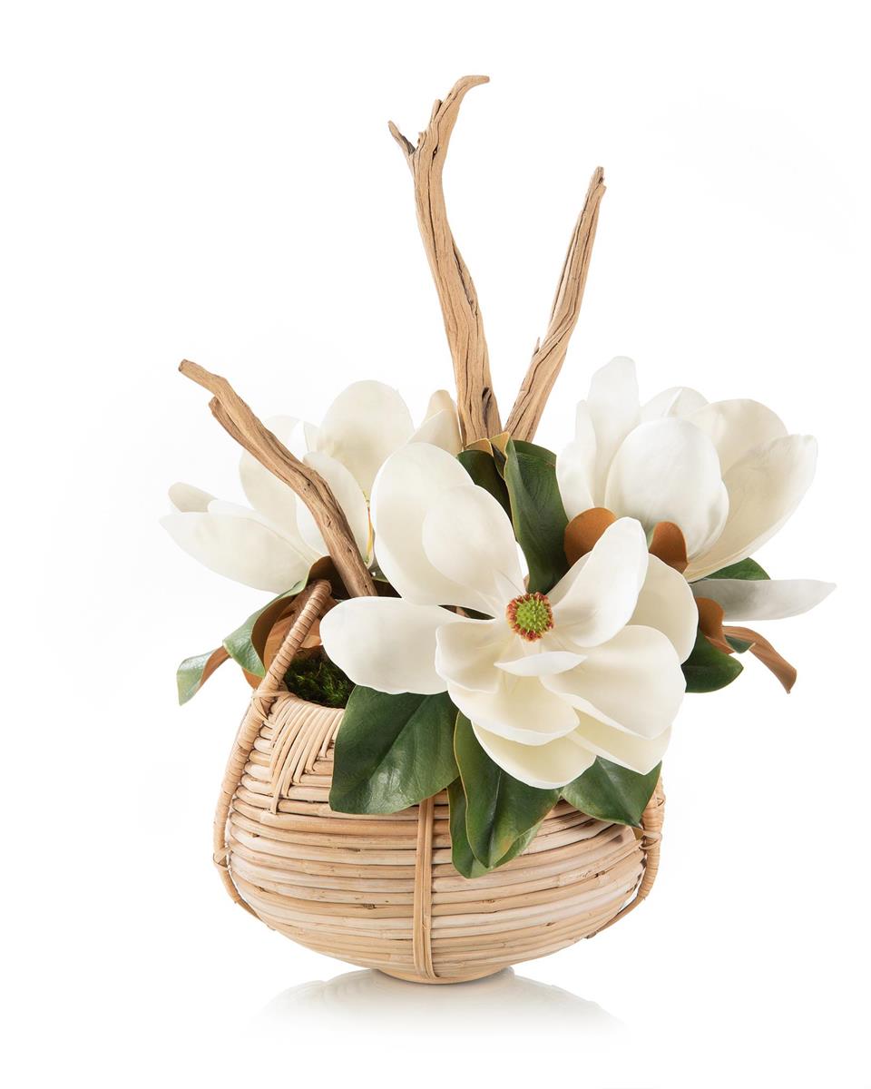 Yolanda Driftwood Magnolia in Basket - Luxury Living Collection
