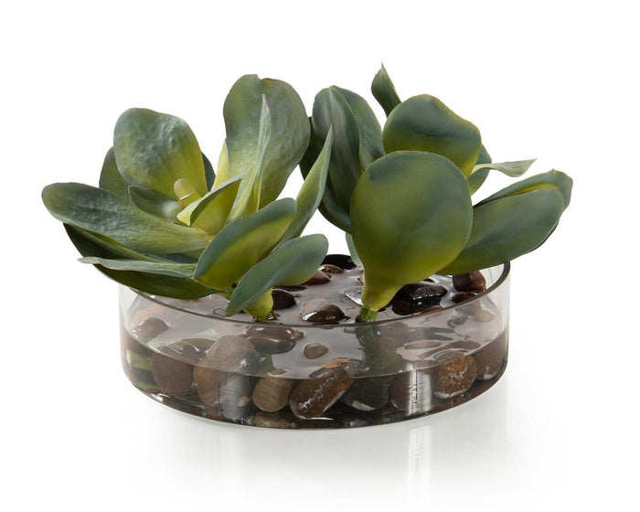 Ausha Rocky Succulents in Bowl - Luxury Living Collection