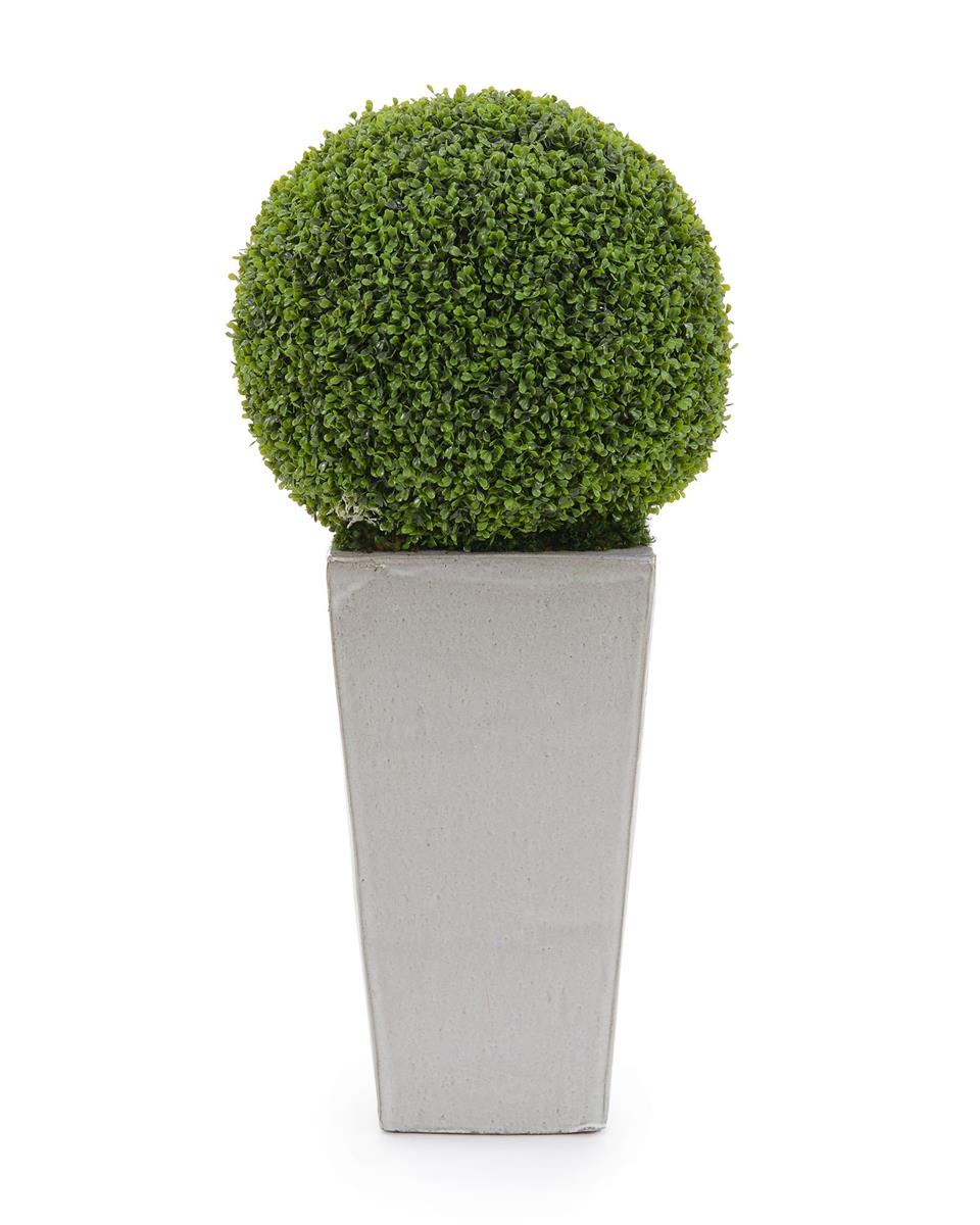 Euphrasia Boxwood Orb in Pot - Luxury Living Collection
