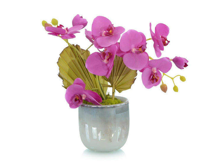 Micaela Tropical Fan Orchid in Vase - Luxury Living Collection