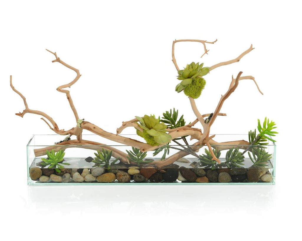 Adhara Succulent Tree in Vase - Luxury Living Collection