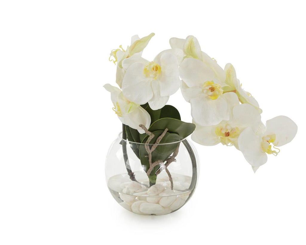 Galia Aqua White Orchid in Bowl - Luxury Living Collection