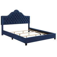 Kailyn Blue Velvet Bed