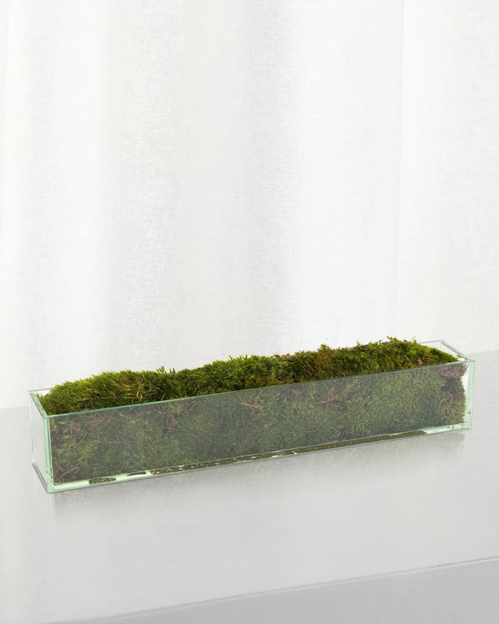 Granetta Moss Mound in Pot - Luxury Living Collection