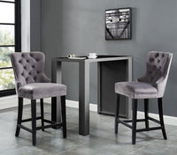 Macie 26" Grey Velvet Counter Stools (Set of 2)