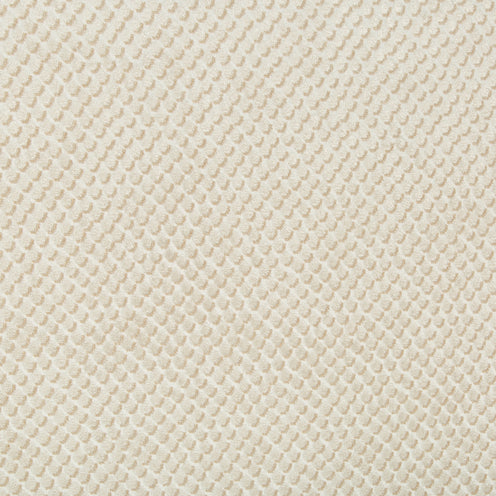Mazzy Dot Parchment Velvet Fabric Sample