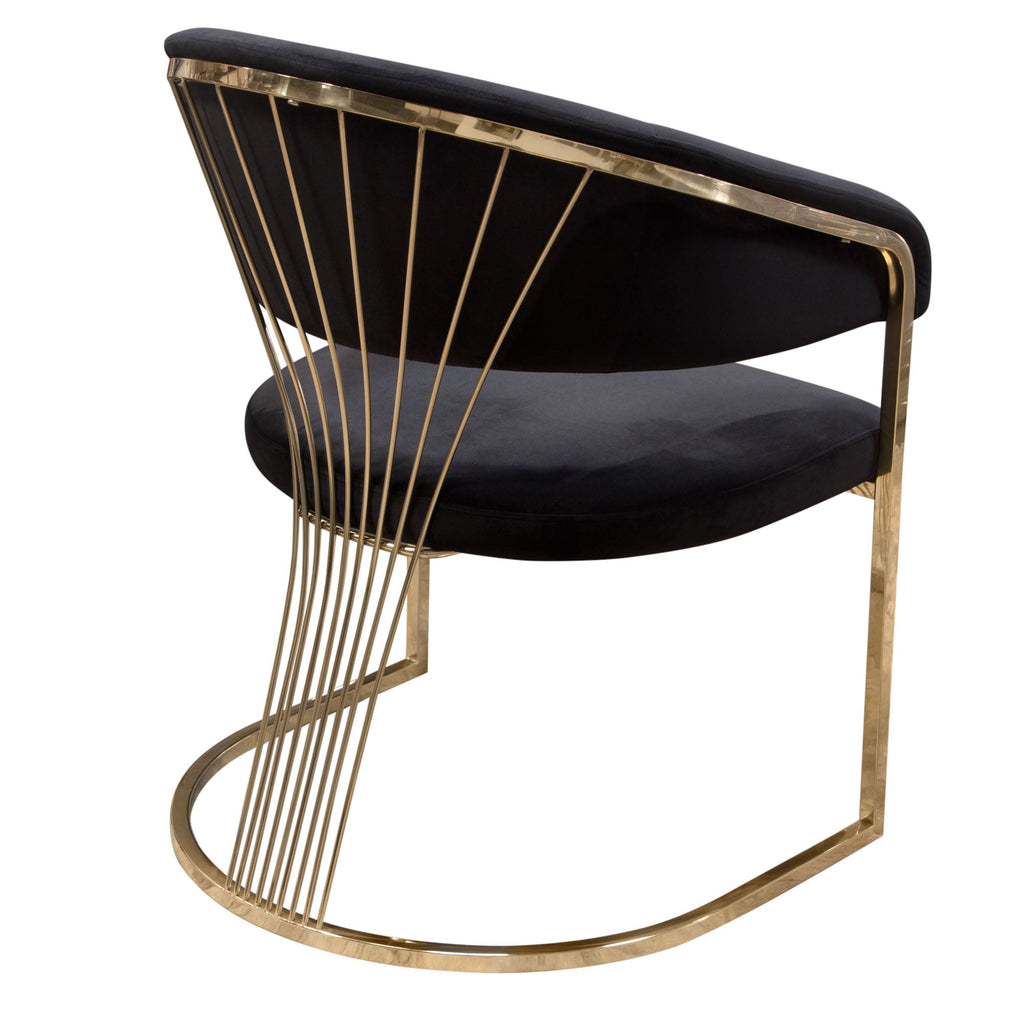 Adelpha Black Velvet with Polished Gold Dining Chair - Luxury Living Collection