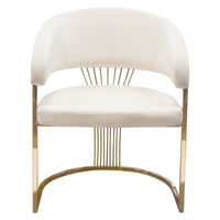 Adelpha Cream Velvet with Polished Gold Dining Chair - Luxury Living Collection